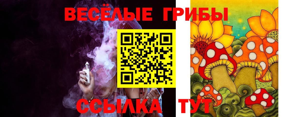 Ногинск  Галлюциногенные грибы мухоморы  Вход с VPN  магазин  наркотиков  Галлюциногенные грибы Psilocybine cubensis 